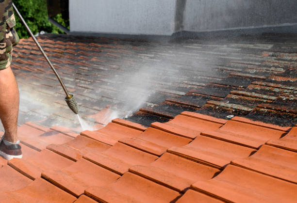 Best Residential Pressure Washing Services  in Northdale, FL