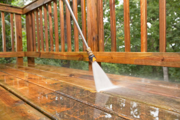 Best Exterior Home Cleaning  in Northdale, FL